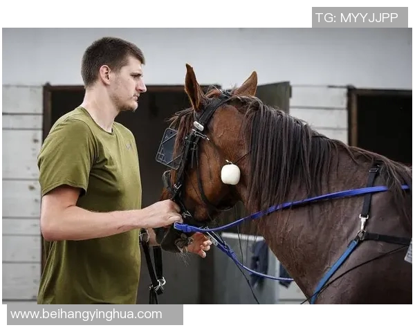 【深度解析】约基奇近况+未来走势预测